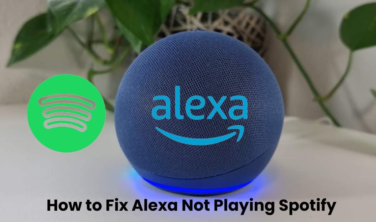 Alexa Not Playing Spotify