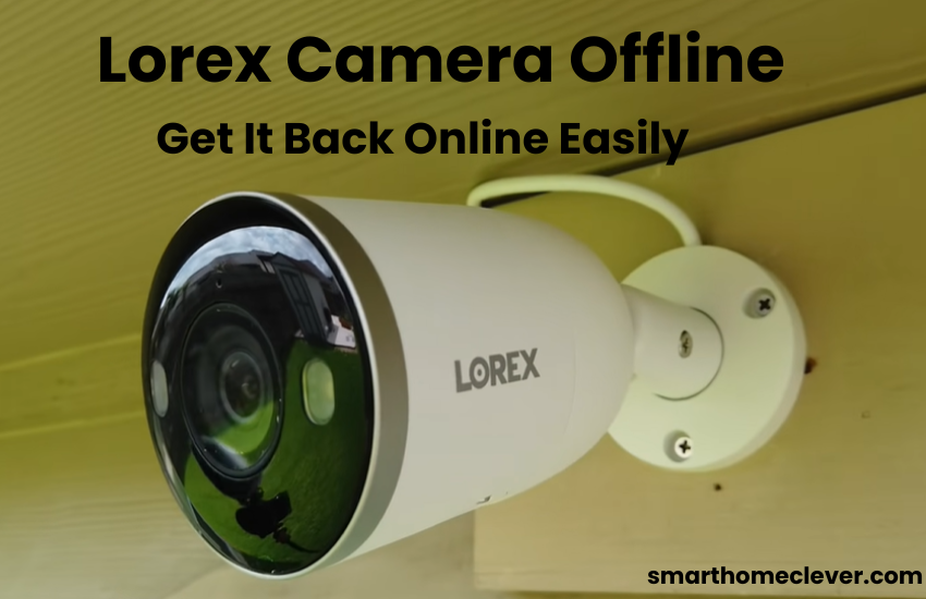 Lorex Camera Offline