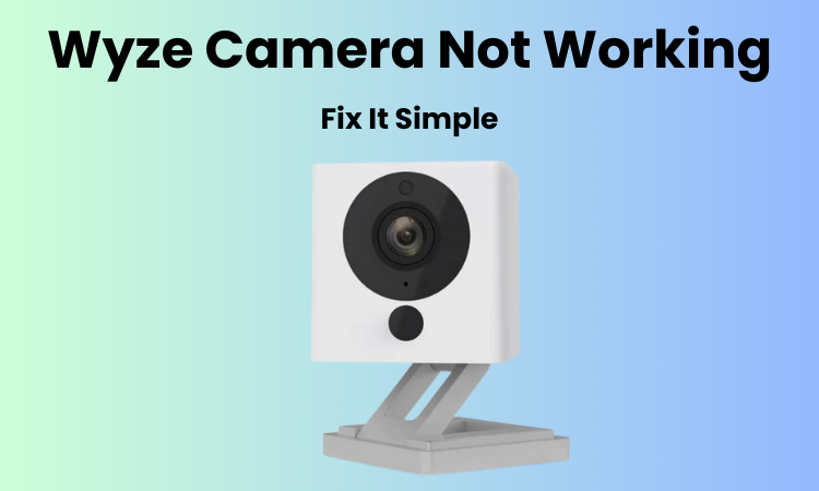 Wyze Camera Not Working